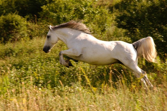 You are currently viewing Zosia i Czambon – Spójność